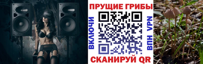 цены   Кропоткин  Галлюциногенные грибы прущие грибы 
