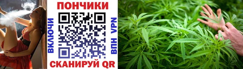 где найти   Кропоткин  Каннабис White Widow 